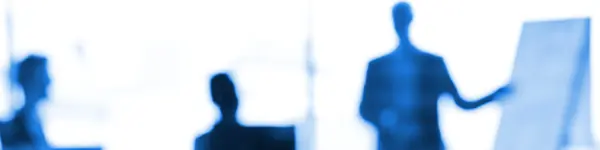 Professional E-learning Instruction